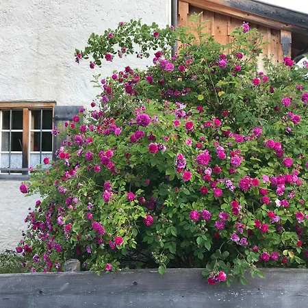 Lohei - Im Chiemgau Unterwoessen