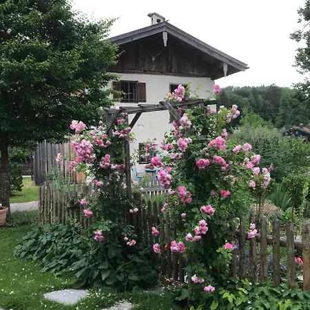 Lohei - Im Chiemgau *